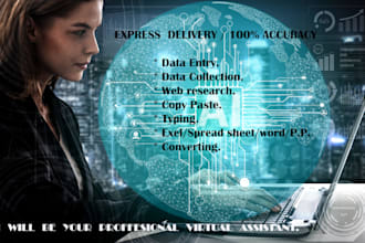 do an accurate data entry word spread sheet and others