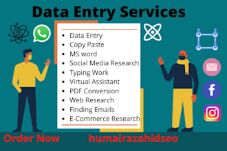 be your personal VA and perform data entry task for you