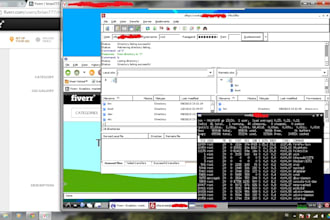 run vnc/rdp web browser n ftp client on 128 mb ram