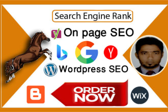 do wordpress yoast on page SEO for google rank