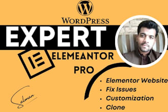 design a wordpress website using elementor pro and astra