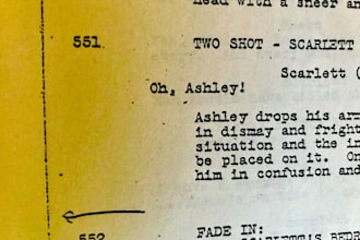 review your short script and provide full coverage
