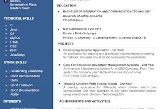 do professional resume writing to be success in your career