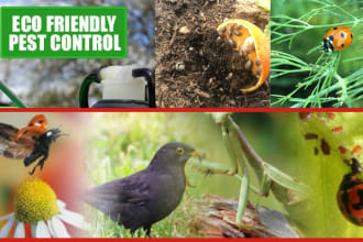 write on insect and pest control  ways for you