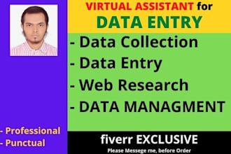 data entry data collection and web research