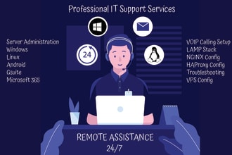 provide technical support services