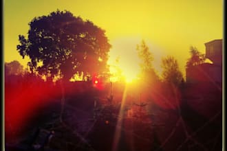 send you a photo of the English weather today