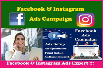 set up facebook and instagram ads campaign, marketing for your business