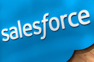 do salesforce development, admin, integration, consultation