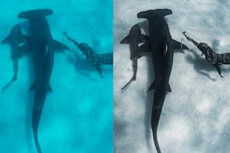 edit your underwater photos using lightroom and photoshop