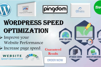 do wordpress speed optimization