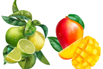 draw realistic plants, vegetables, fruits