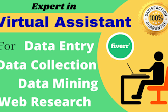provide data entry and microsoft word