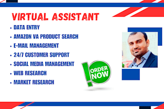 perform fattest data entry as a virtual assistant