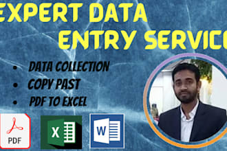 do data entry, web research and copy past