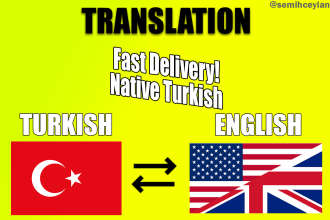 translate english to turkish or vice versa professionally