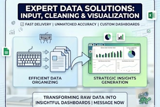 do expert data entry and structured spreadsheet management