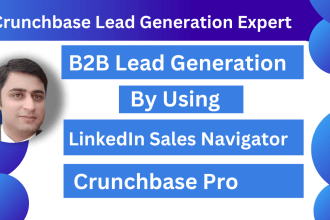 find b2b crunchbase leads for you