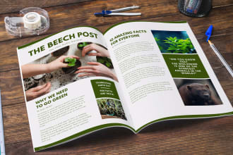 design professional newsletter, booklet and catalog