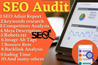 provide best SEO audit reports