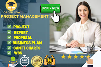 help in project management, accounting and finance and business plan