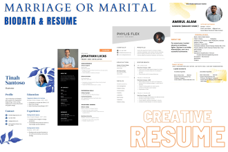 design resume, CV, job application, and  marital biodata