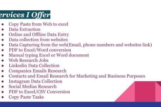 do data collection internet research and fastest data entry in low price