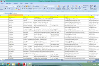 do market research, excel data entry and web research