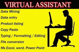 do fast typing, retype pages, pdf to word, pro typist