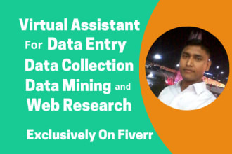 be your virtual assistant for data entry, copy paste, web research