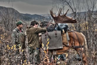 retouch or hdr photos using photoshop for web, canvas, art prints