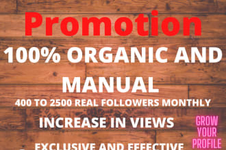 skyrocket your instagram page growth manually