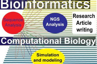 assist you in bioinformatics and computational analysis