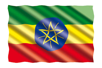 transcribe amharic  and english audio and videos