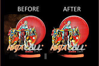 draw professional vector tracing details from your photos