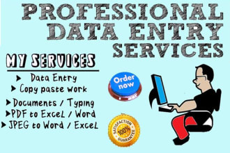 do data entry, copy paste, excel data entry, pdf to word