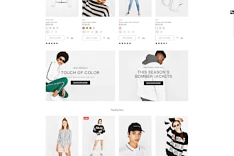 develop a successful shopify ecommerce site