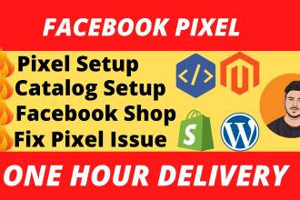 setup or bug fix fb pixel, catalogue, custom audience