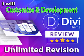 divi theme customize and development