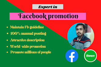 do facebook promotion in USA any business