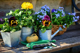 write engaging articles or blog posts about gardening