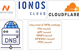 do any kind of dns settings or changes