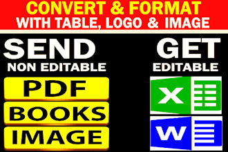 retype, convert pdf to word, ms excel data entry typing, copy paste