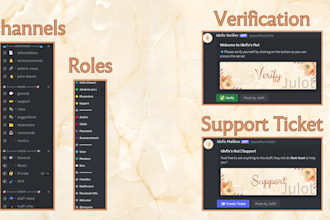 create and set up a professional discord server