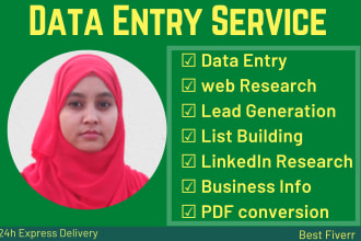 do fast data entry , web research , excel and google sheet