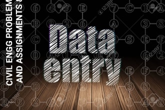 do data entry , civil engineering problems