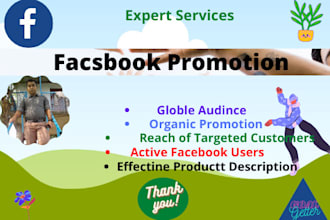 do  facebook promotion for any company