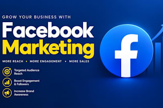 do organic face book promotion and marketing for any company