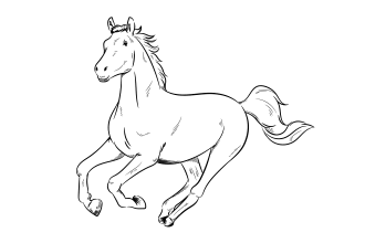 do draw illustration black and white in 24 hour