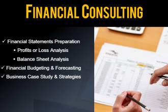 prepare balance sheet, profit or loss and other financial statements